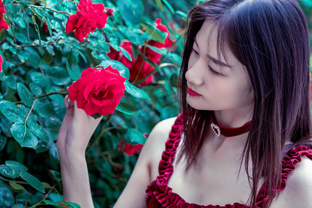 特朗普：美国不打算向乌克兰提供远程导弹